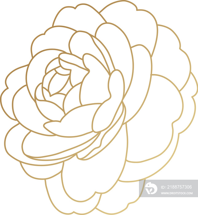 Gold rose flower