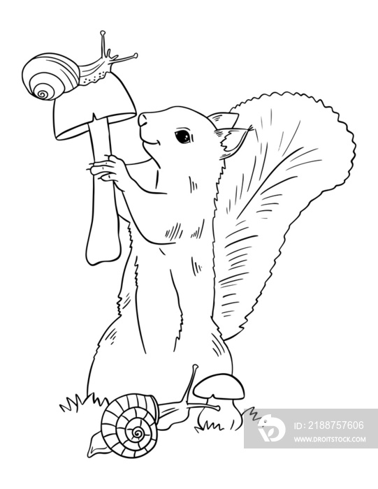 Сartoon  squirrel on white background. Freehand sketch for adult anti stress coloring book page with doodle elements.