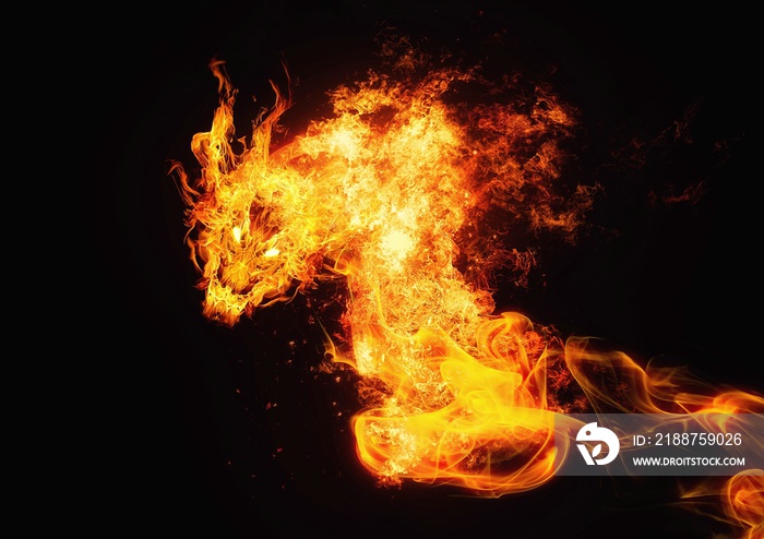 3d illustration of fire dragon