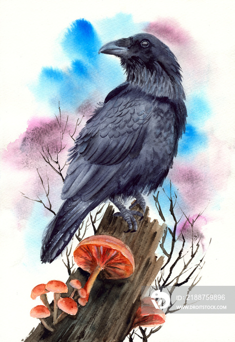 A watercolor illustration of a black raven on a tree stump on which orange mushrooms grow, with tree branches in the background