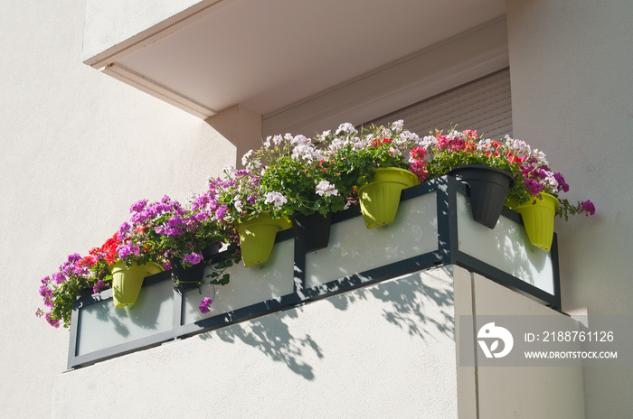 balcon fleuri