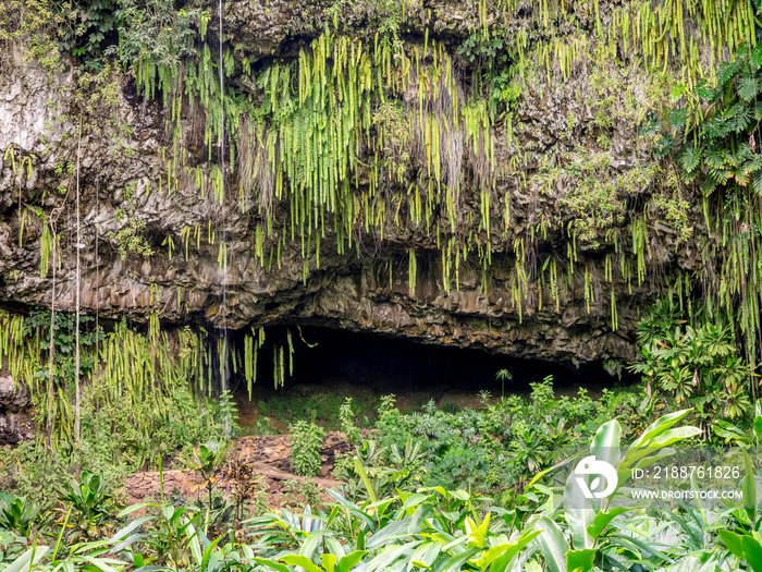 Fern Grotto at the Wailua State Park Kauai Hawaii