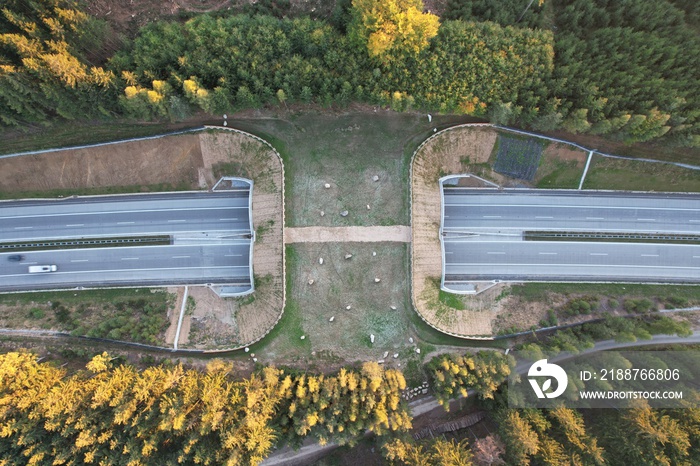 A wildlife bridge Ecoduct biocoridor for wildlife is an overpass that allows animals to cross a road EKODUKT construction aerial panorama view