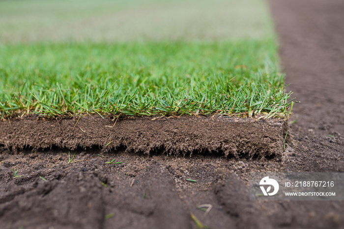 A piece of new grass from a roll laying on a football pitch.