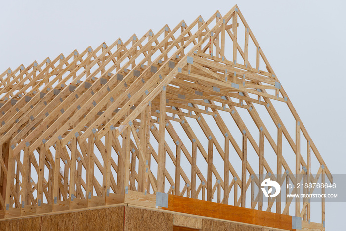 installation of rafters of a plywood house building wall studs