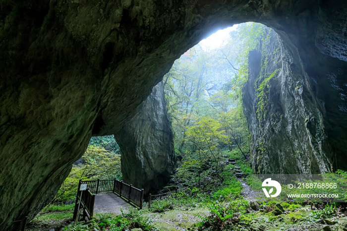 羅生門　岡山県新見市　Rashomon.  Okayama-ken Niimi city