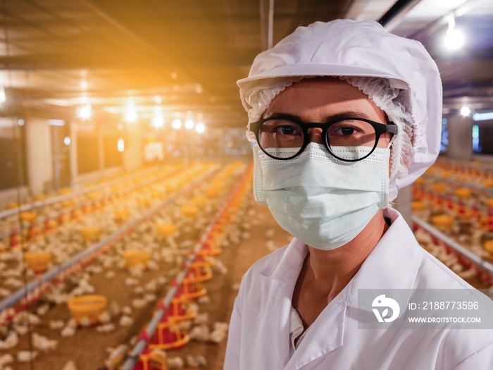 The woman with white cloth in the chicken farming business