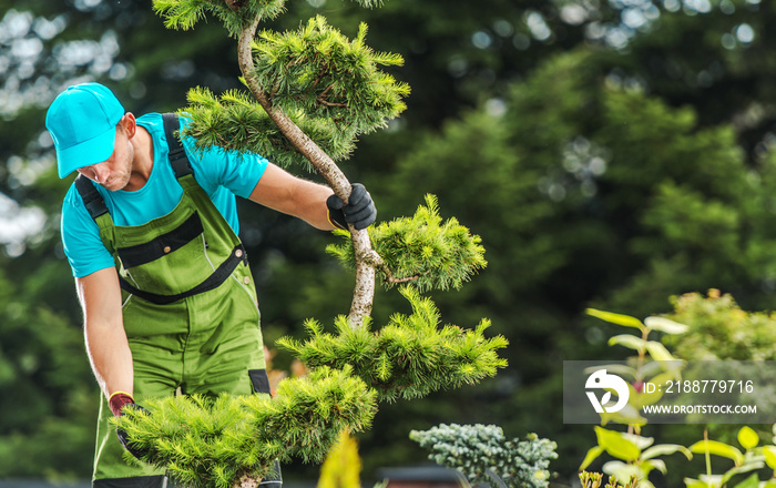 Gardener Checking Garden Tree Health