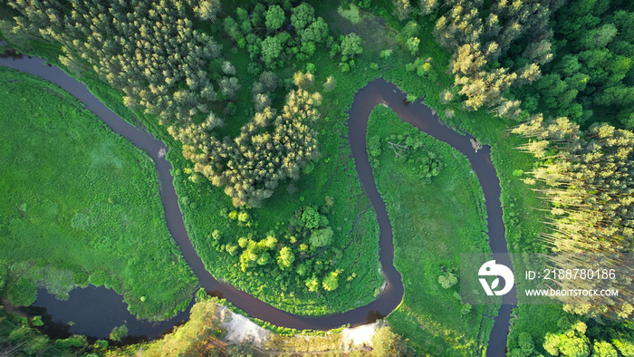 Aerial view of natural river in spring