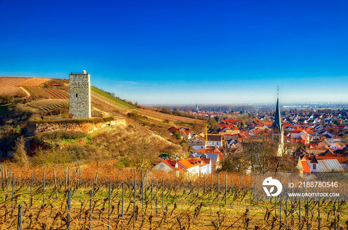 Burg Schwabsburg in Nierstein am Rhein, Rheinhessen, Rheinland-Pfalz