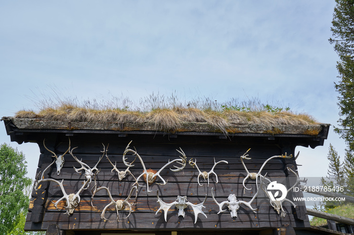 wooden winter cabin with animal antlers