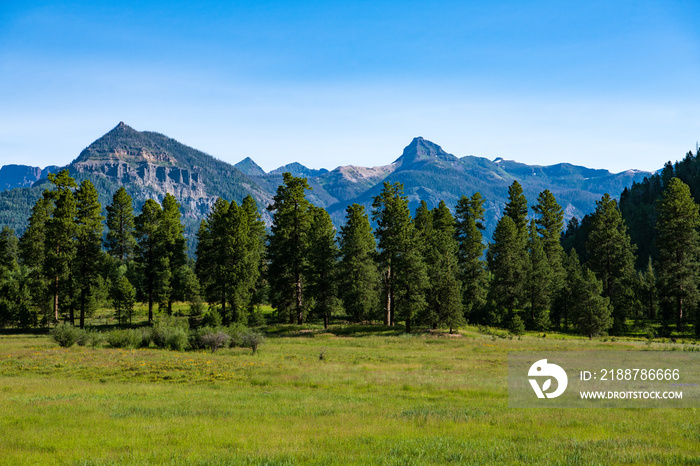 Grassy meadow below a ponderosa pine forest and a mountain range in the Rocky Mountains near Pagosa Springs, Colorado