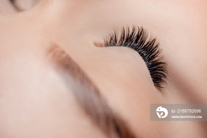 Eyelash extension procedure. Classic volume black fake long lashes beautiful female eyes