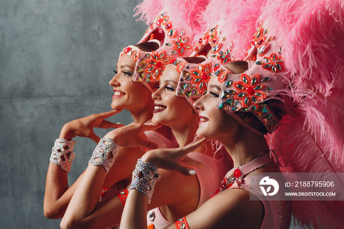 Three Women profile portrait in samba or lambada costume with pink feathers plumage.