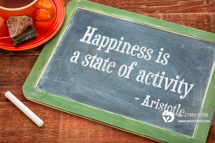 幸福是一种活动状态