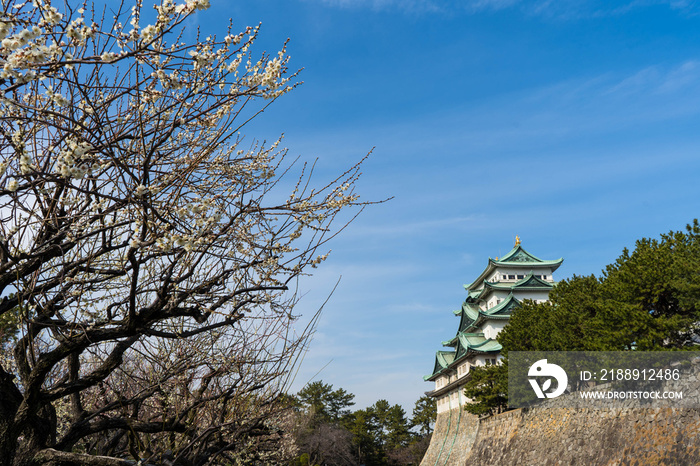 春めいてきた植物と名古屋城