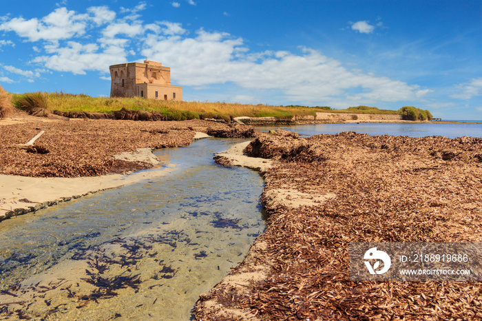 Apulia landscape: Nature Reserve of Torre Guaceto,Italy. Wellspring marine source crosses sandy beac