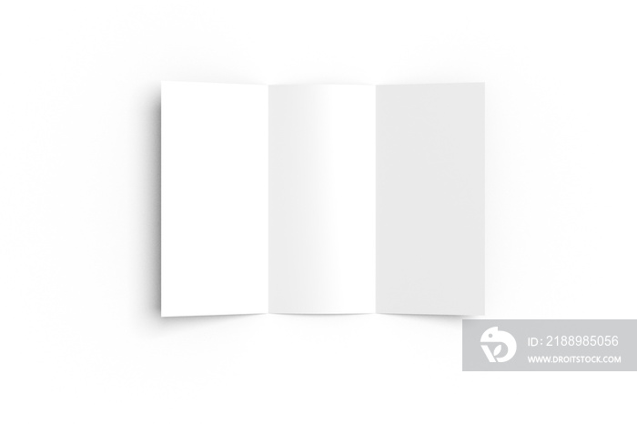Blank Trifold Brochure Mockup