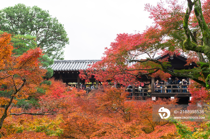 【京都】東福寺の紅葉