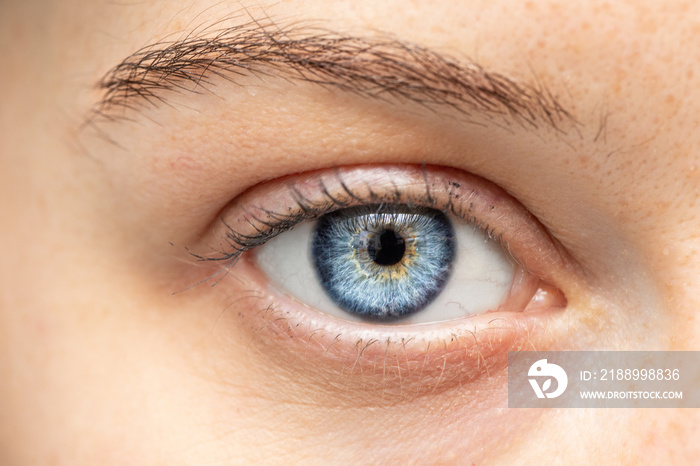 An extreme closeup view on the blue eye of a young Caucasian lady, health and beauty concept.