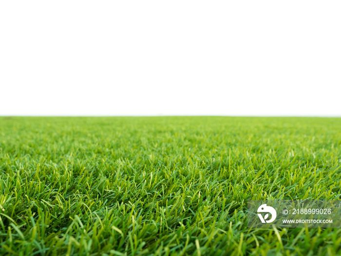 green grass on white background