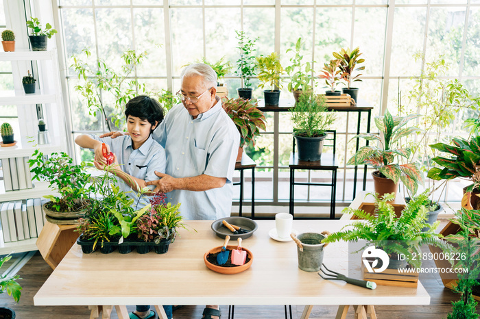 An Asian retired grandfather and his grandson spend quality time together at home. Enjoy taking care