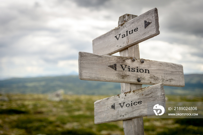 value vision voice text on wooden signpost