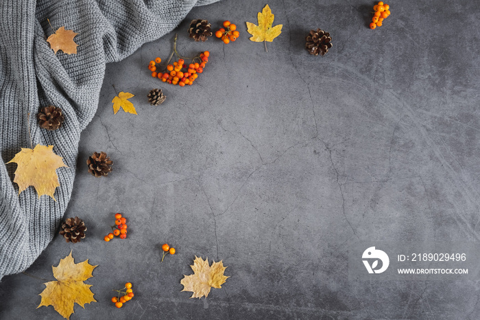 Autumn composition. Sweater, cones, berry rowan and autumn leaves maple on dark concrete background.