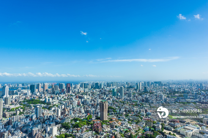 夏の東京風景 Tokyo city skyline , Japan