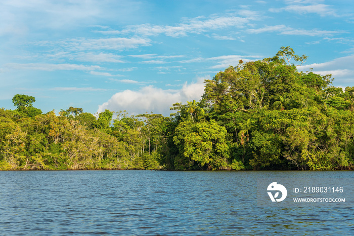 Amazon Rainforest Landscape, Yasuni national park.