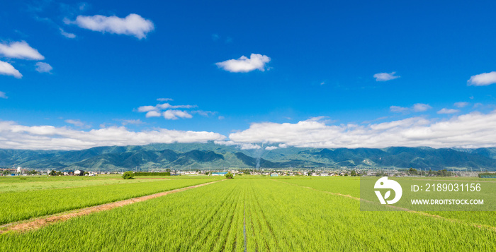 信州　安曇野の田園風景