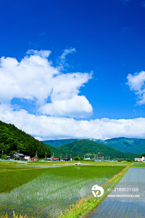 日本ののどかな田園風景