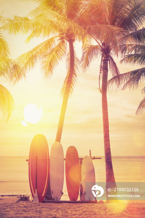 海滩背景上的冲浪板和棕榈树。