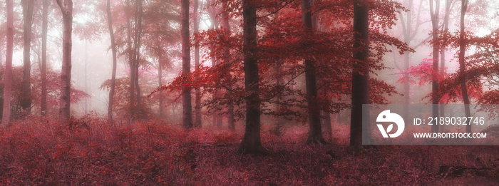 Beautiful surreal alternate color fantasy Autumn Fall forest lan