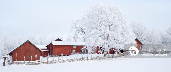 Farm barn in a cold winter landscape with snow and frost