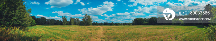 giant panorama of grass field in the forest