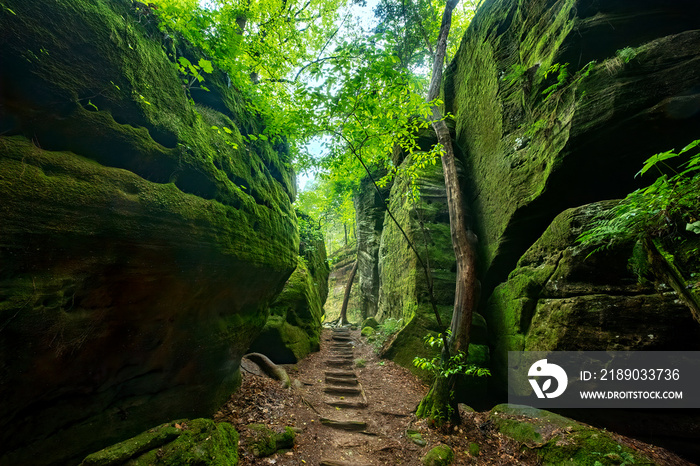 Dismals Canyon, Alabama