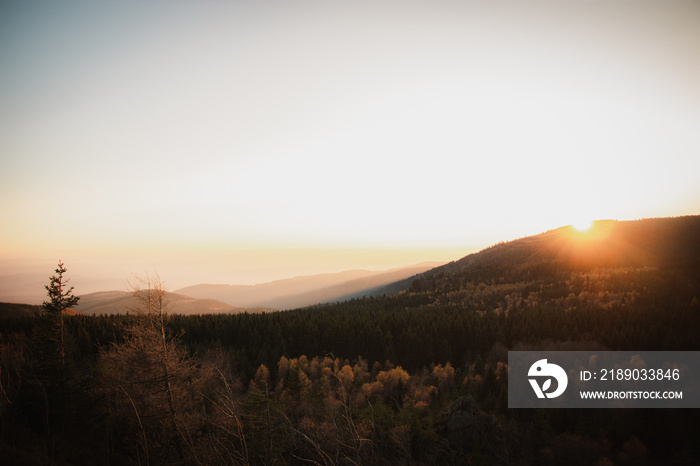 Scenic view of an autumnal forest and a vast landscape against a beautiful bright sunset