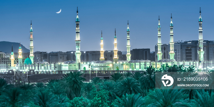 Al-Masjid an-Nabawi, Al-Madinah Al-Munawwarah, Kingdom of Saudi Arabia, Baqi` Al-Gharqad, with palm 