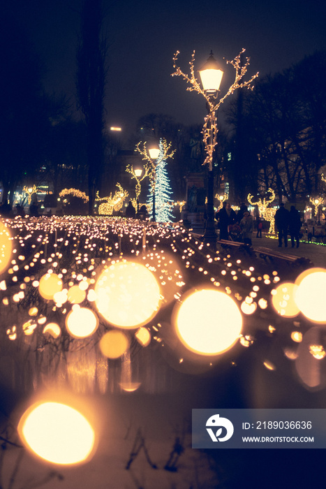 Boulevard Christmas Lights