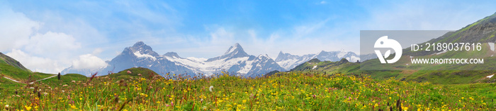 Alpine peaks of Grindelwald and Jungfrau. Landskape background of Bernese highland. Alps, tourism, j