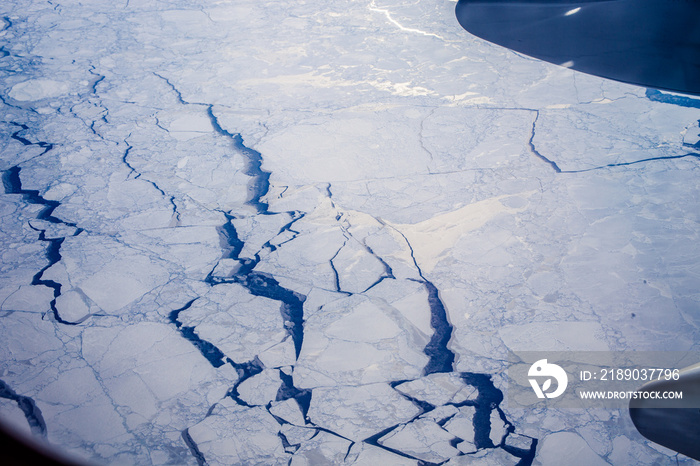 Frozen landscape