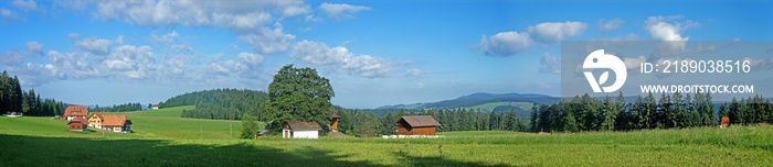 Verstreute Häuser im Schwarzwald/Landschaft im Schwarzwald; Panoramablick über Wiesen und Wälder, Be