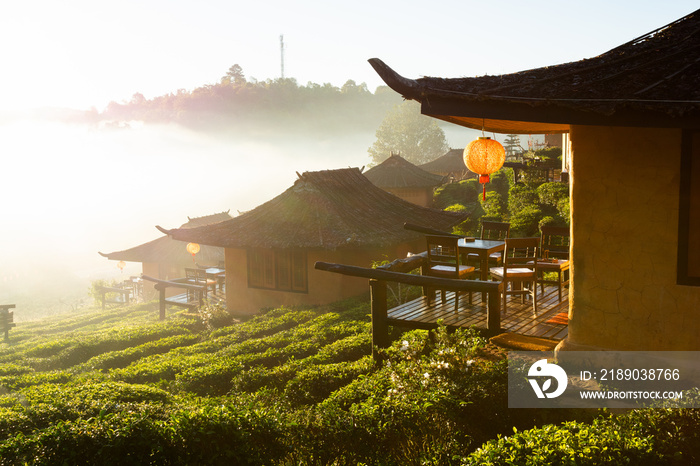 日出在Lee wine Rak Thai，Ban Rak Thai-一个中国定居点，Mae Hong Son，泰国