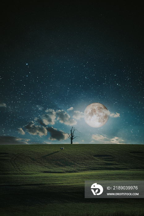 Moon Landscape 