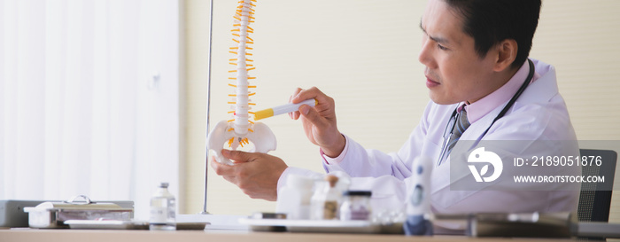 Asian male orthorpedic doctor pointing spine model in hospital