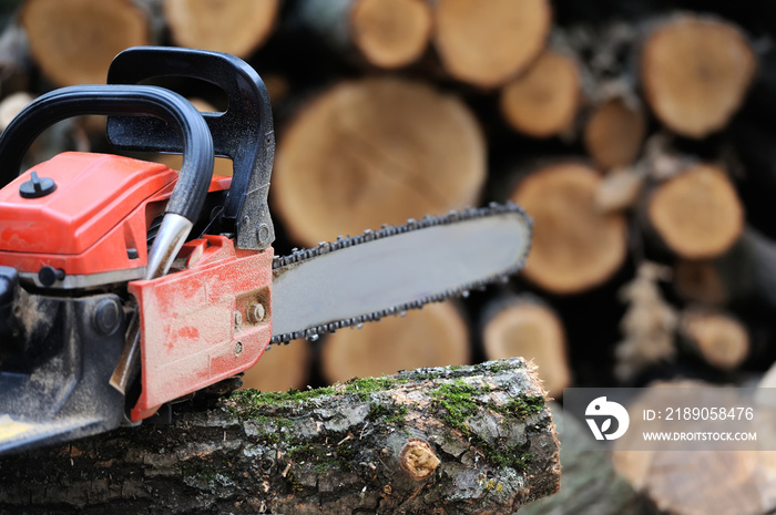 Chainsaw and tree