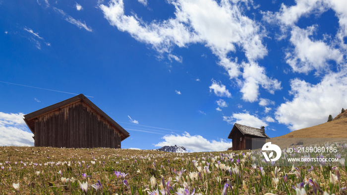 Case e baite in legno in montagna, Dolomiti, Fuciade, Passo San Pellegrino