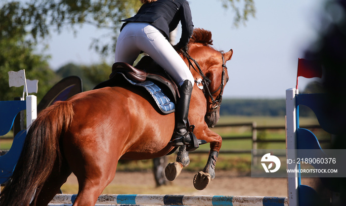 Horse photographed in jumping tournament over the obstacle in jump..