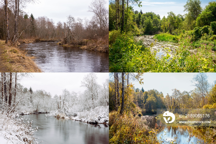 四个季节的美丽拼贴，不同的图片，但荒野中河流的同一个地方。春天